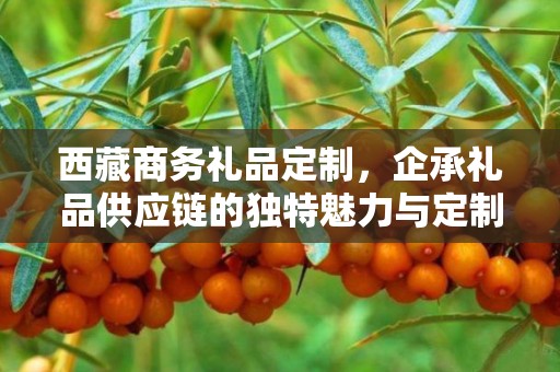 西藏商务礼品定制，企承礼品供应链的独特魅力与定制之旅