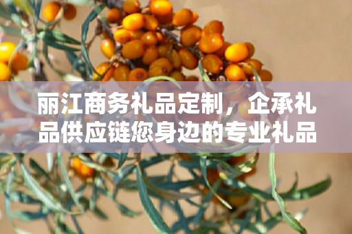 丽江商务礼品定制，企承礼品供应链您身边的专业礼品定制公司