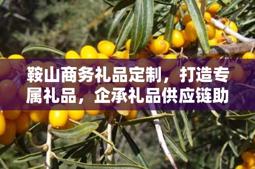 鞍山商务礼品定制，打造专属礼品，企承礼品供应链助力商务往来