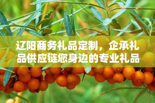 辽阳商务礼品定制，企承礼品供应链您身边的专业礼品定制公司