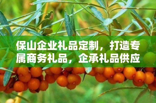 保山企业礼品定制，打造专属商务礼品，企承礼品供应链助力企业福利升级