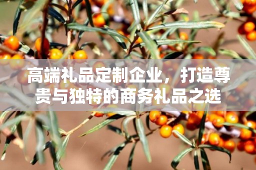 高端礼品定制企业，打造尊贵与独特的商务礼品公司