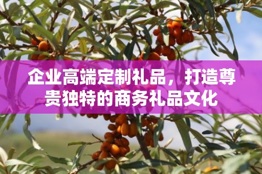 企业高端定制礼品，打造尊贵独特的商务礼品文化