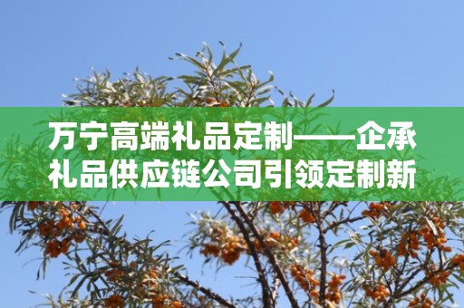 万宁高端礼品定制——企承礼品供应链公司引领定制新时代