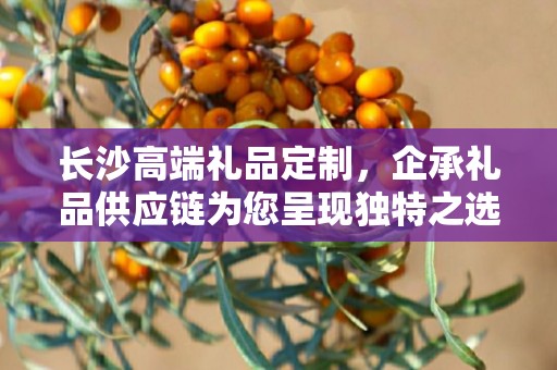 长沙高端礼品定制，企承礼品供应链为您呈现独特之选