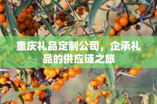重庆礼品定制公司，企承礼品的供应链之旅