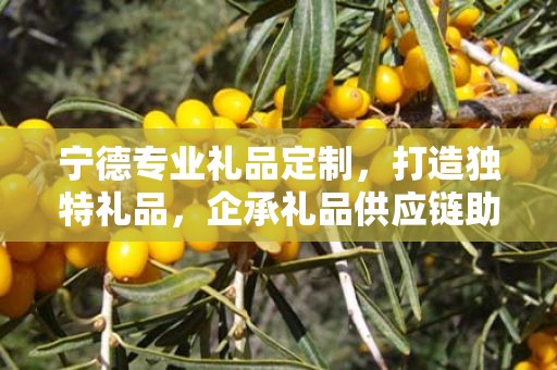 宁德专业礼品定制，打造独特礼品，企承礼品供应链助力商务发展