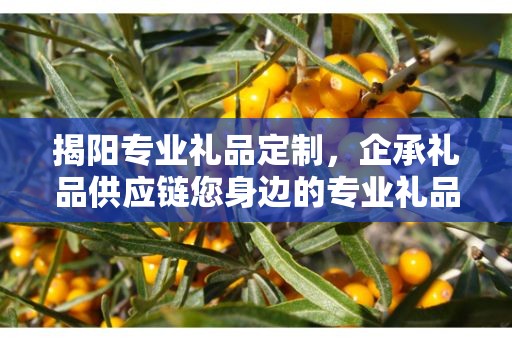 揭阳专业礼品定制，企承礼品供应链您身边的专业礼品定制公司
