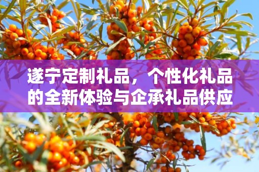 遂宁定制礼品，个性化礼品的全新体验与企承礼品供应链的卓越服务