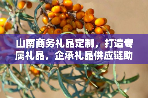 山南商务礼品定制，打造专属礼品，企承礼品供应链助力商务往来