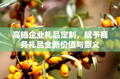 高档企业礼品定制，赋予商务礼品全新价值与意义