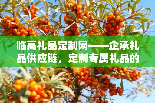临高礼品定制网——企承礼品供应链，定制专属礼品的最佳选择