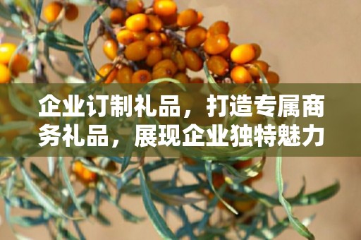 企业订制礼品，打造专属商务礼品，展现企业独特魅力