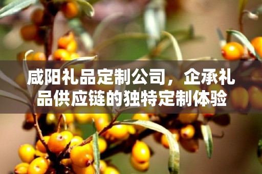 咸阳礼品定制公司，企承礼品供应链的独特定制体验