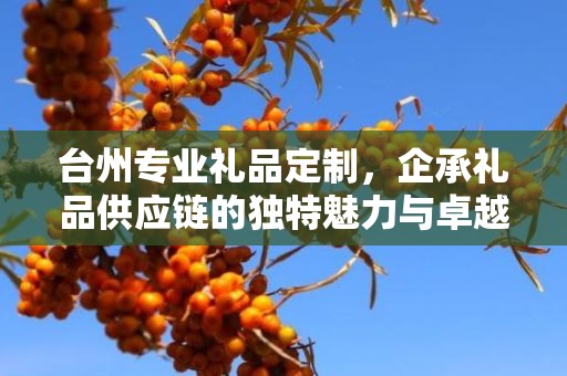 台州专业礼品定制，企承礼品供应链的独特魅力与卓越服务