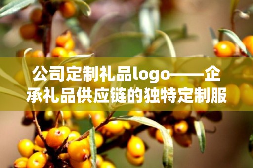 公司定制礼品logo——企承礼品供应链的独特定制服务